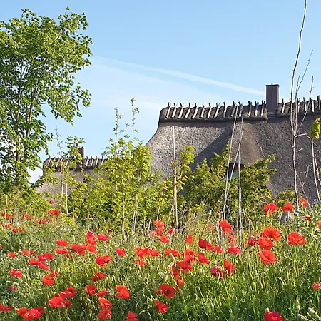 Reetdorf Geltinger Birk Kuenstlerkate Herbststurm * Nieby (Nieby, Schleswig-Flensburg)